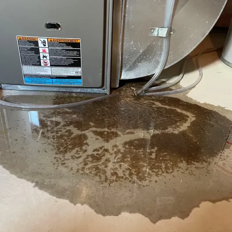 Appliance Leak Cleanup in Venetian Village, IL